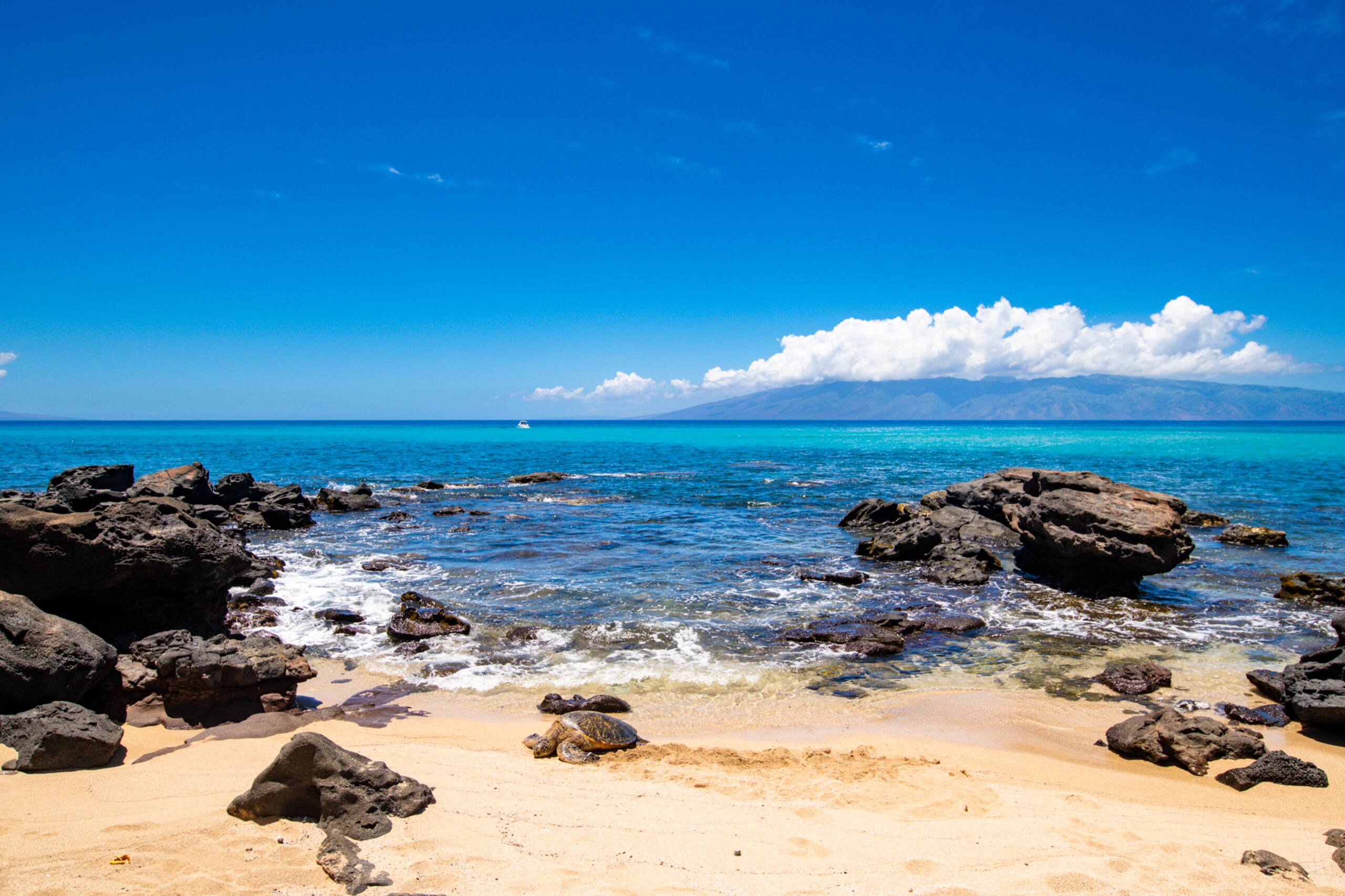 Condo in Lahaina · ★4.95 · 1 bedroom · 2 beds · 1 bath - Image 20