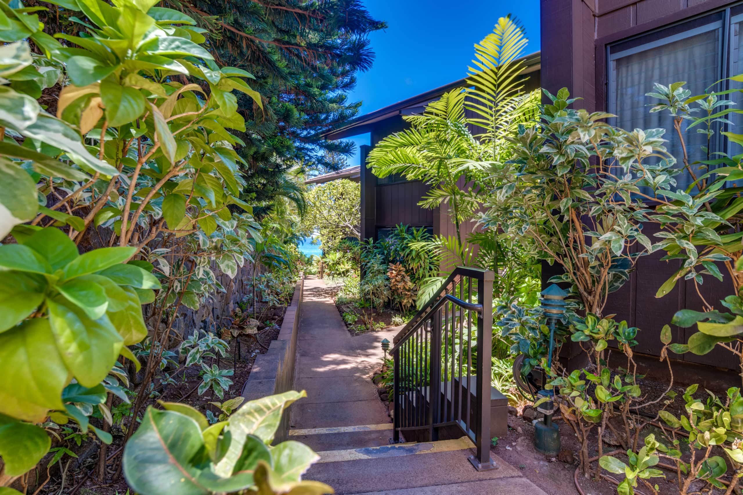 Condo in Lahaina · ★4.95 · 1 bedroom · 2 beds · 1 bath - Image 6