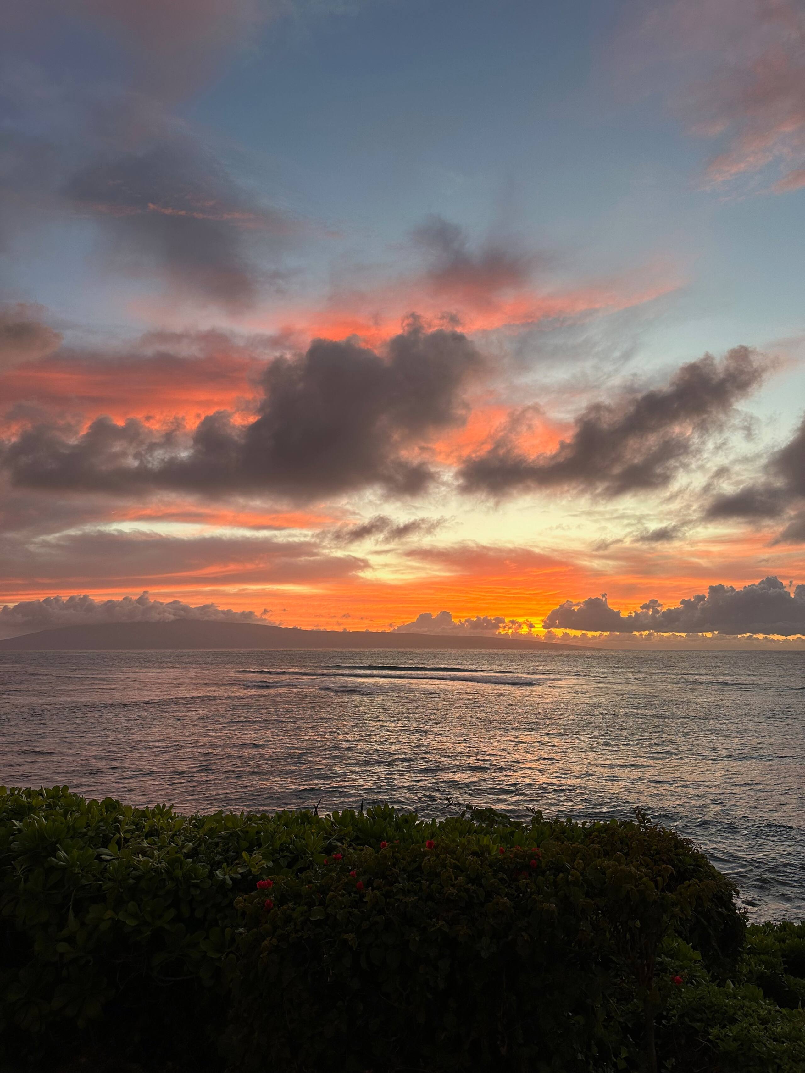 Condo in Lahaina · ★4.95 · 1 bedroom · 2 beds · 1 bath - Image 32