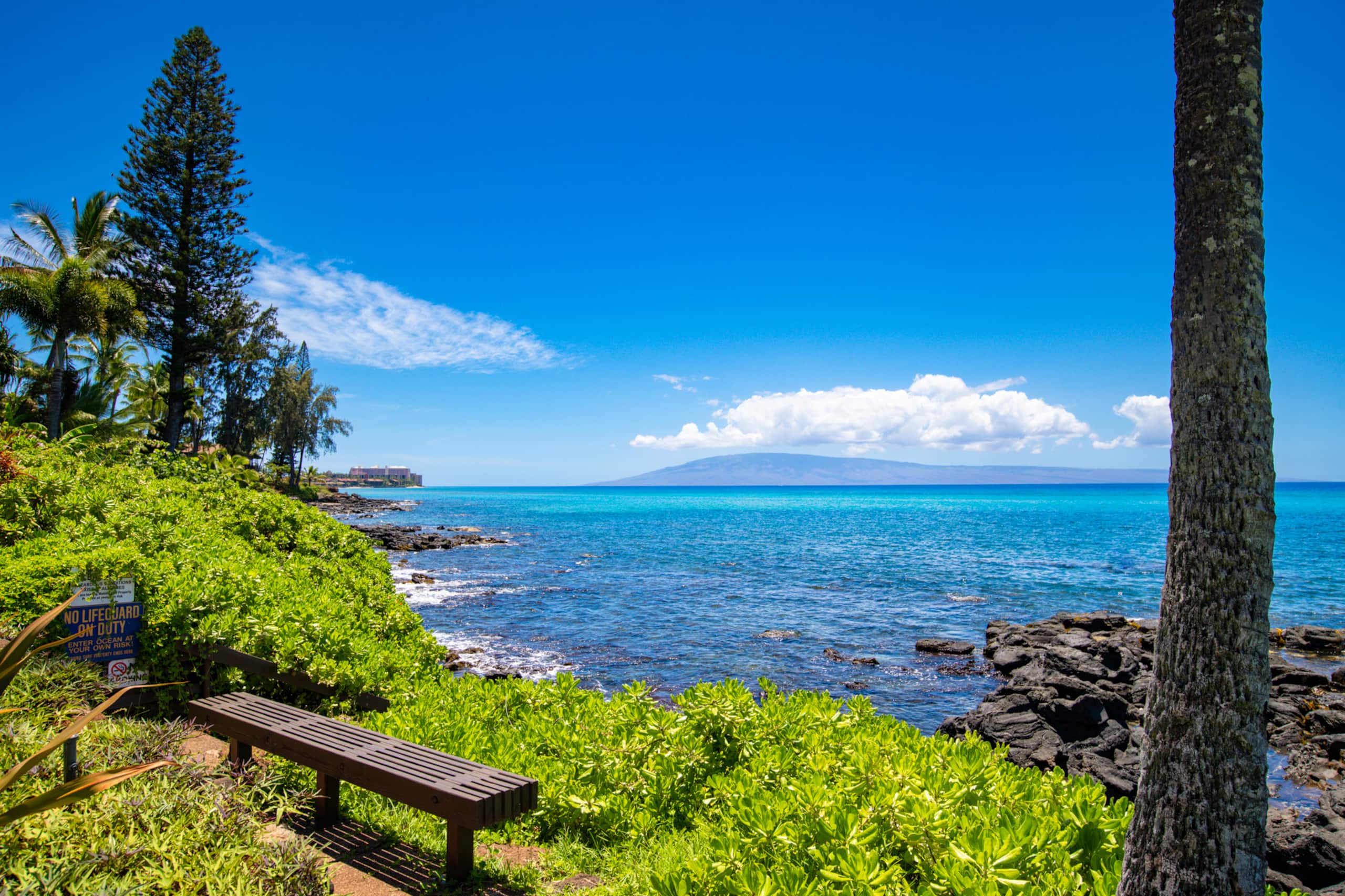 Condo in Lahaina · ★4.95 · 1 bedroom · 2 beds · 1 bath - Image 27