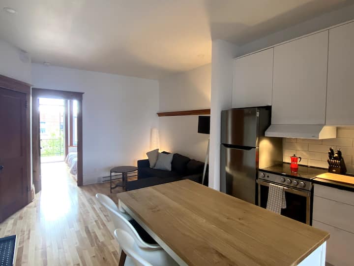 Renovated One-bedroom Flat With Free Parking - Montreal