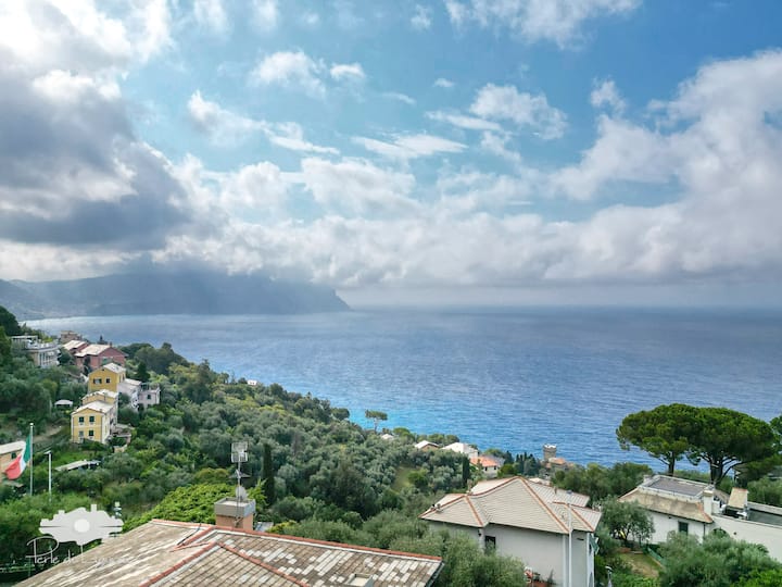Dall ' Alba Al Tramonto - Recco