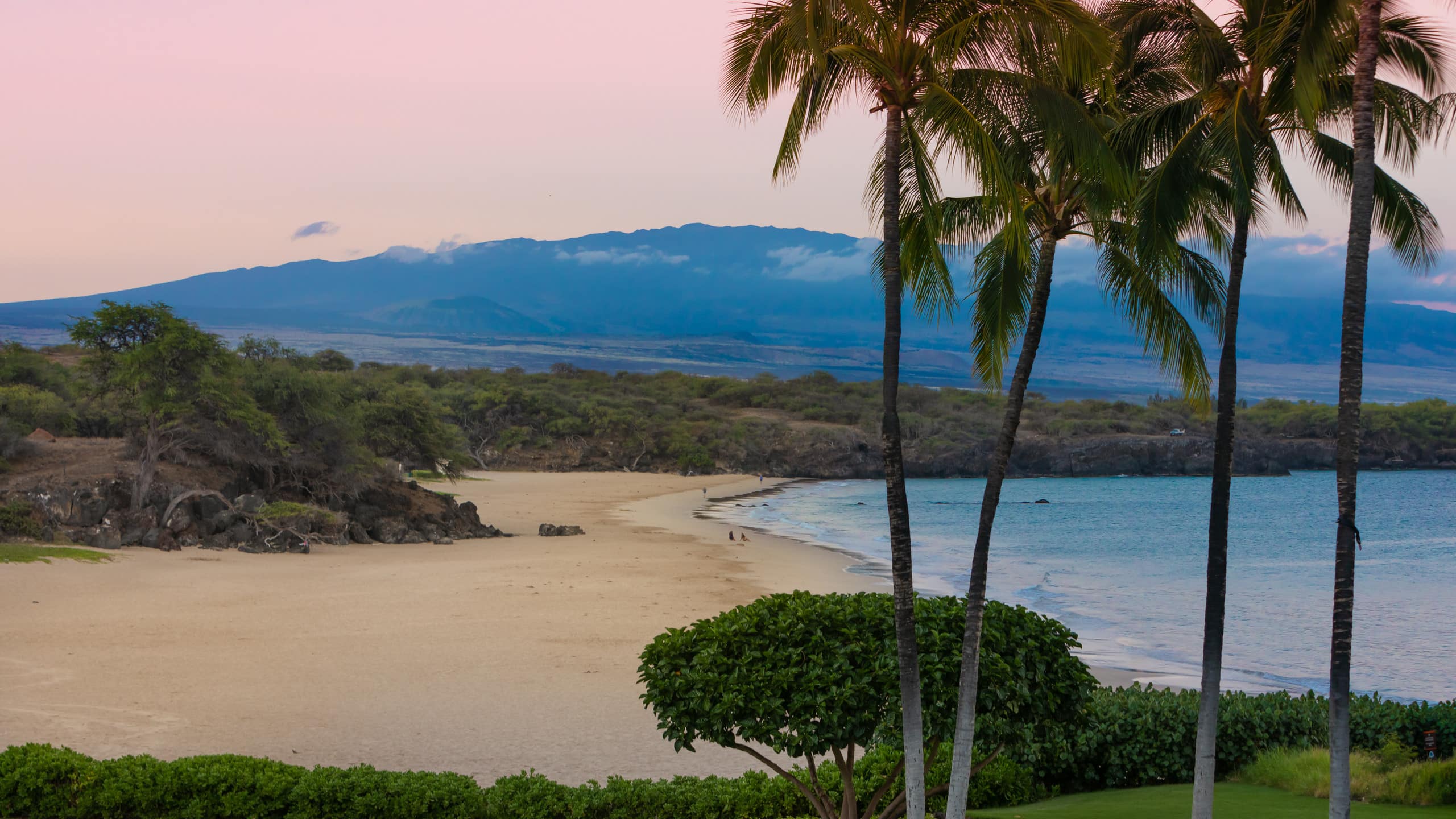 Condo in Waimea · ★5.0 · 2 bedrooms · 4 beds · 2 baths - Image 43