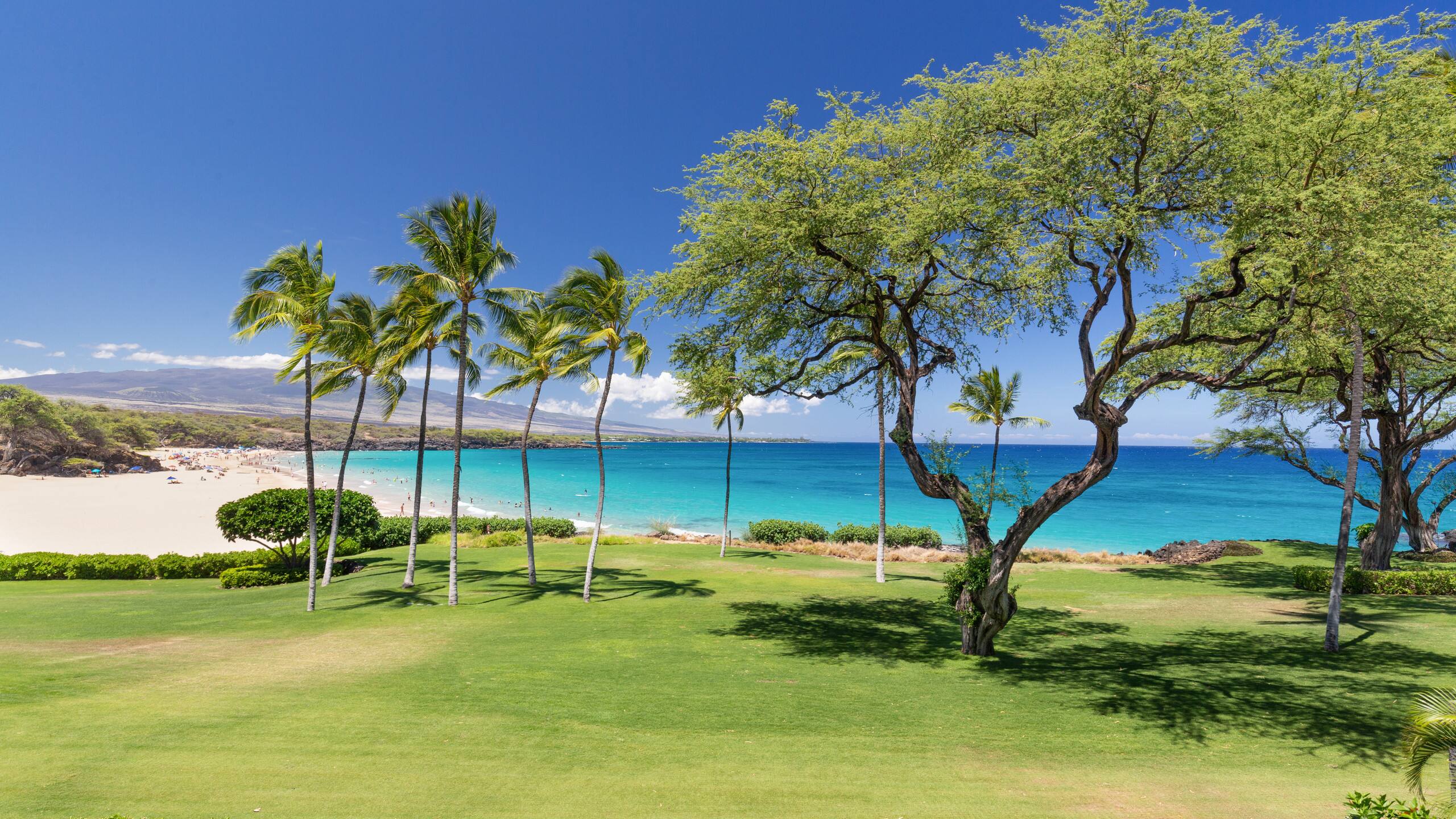 Condo in Waimea · ★5.0 · 2 bedrooms · 4 beds · 2 baths - Image 51