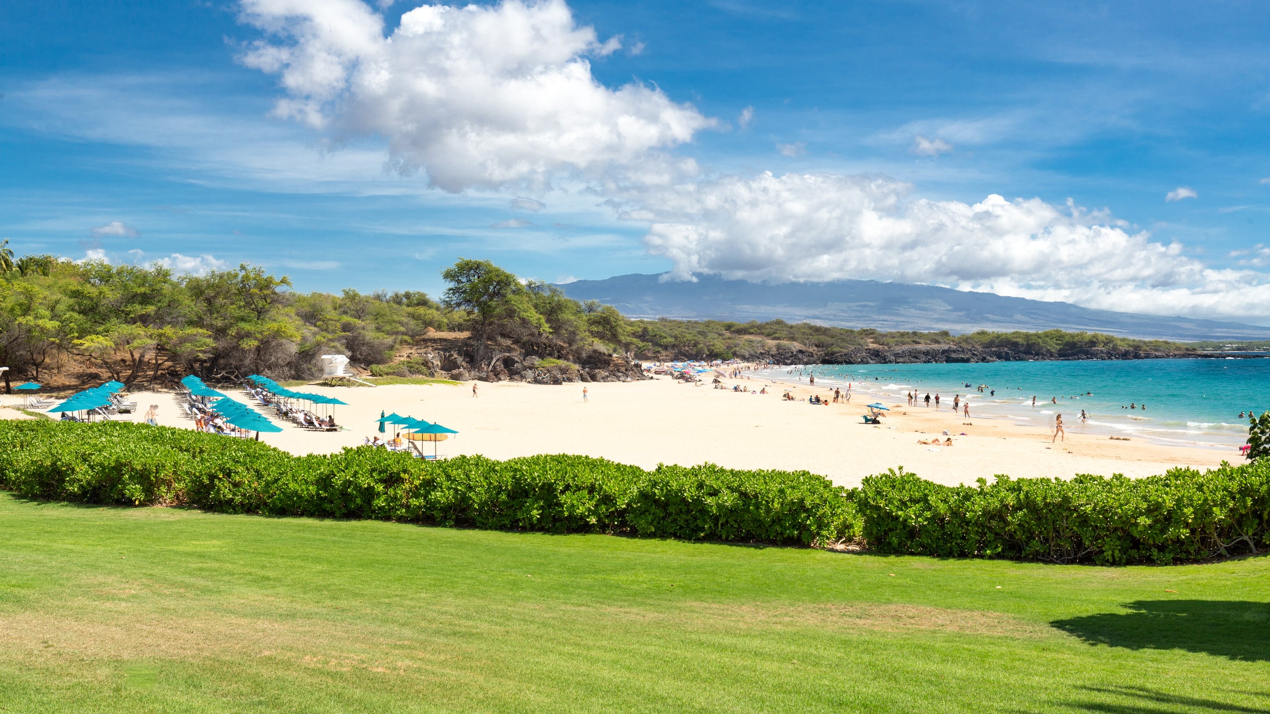Condo in Waimea · ★5.0 · 2 bedrooms · 4 beds · 2 baths - Image 46