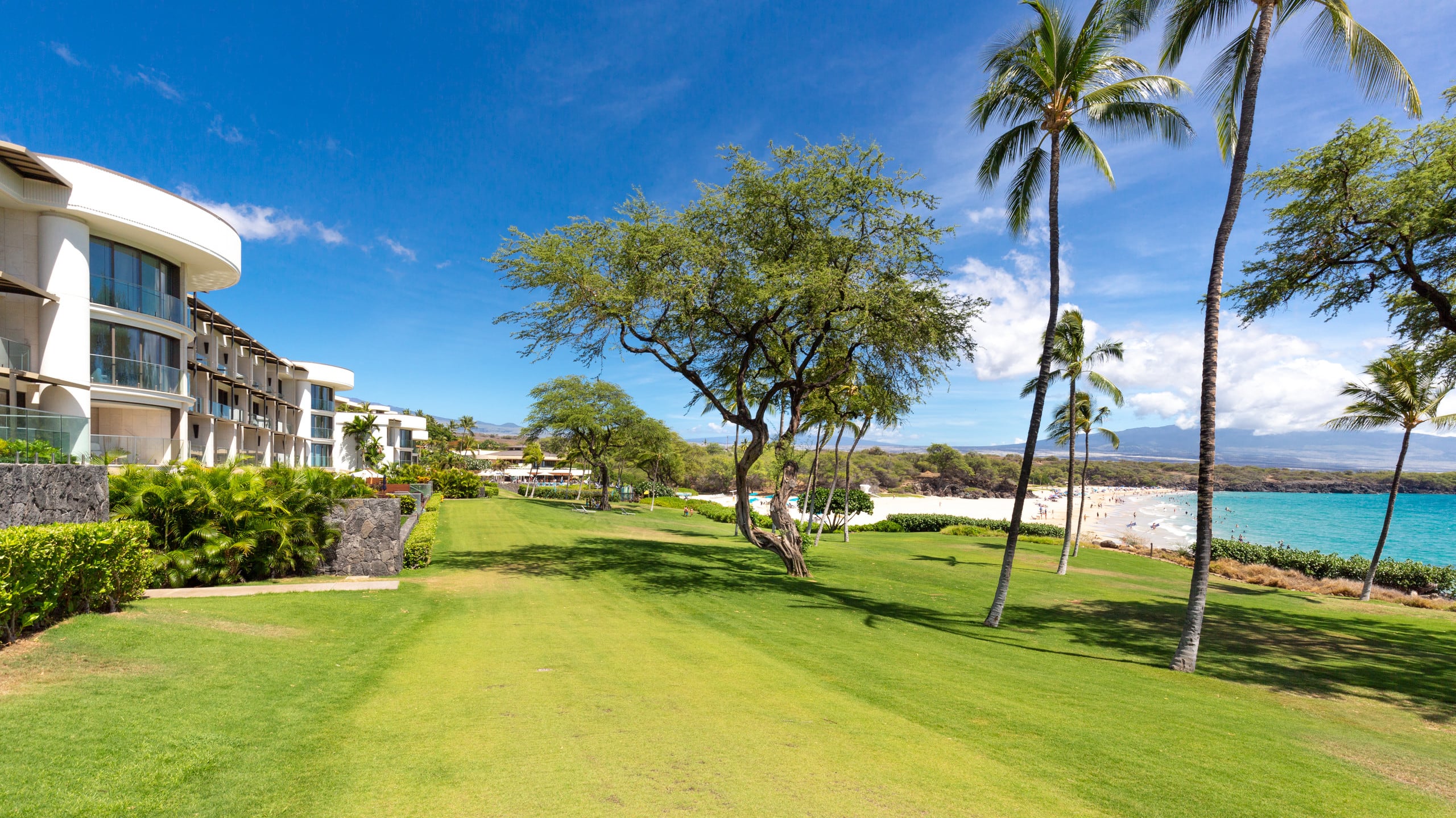 Condo in Waimea · ★5.0 · 2 bedrooms · 4 beds · 2 baths - Image 44
