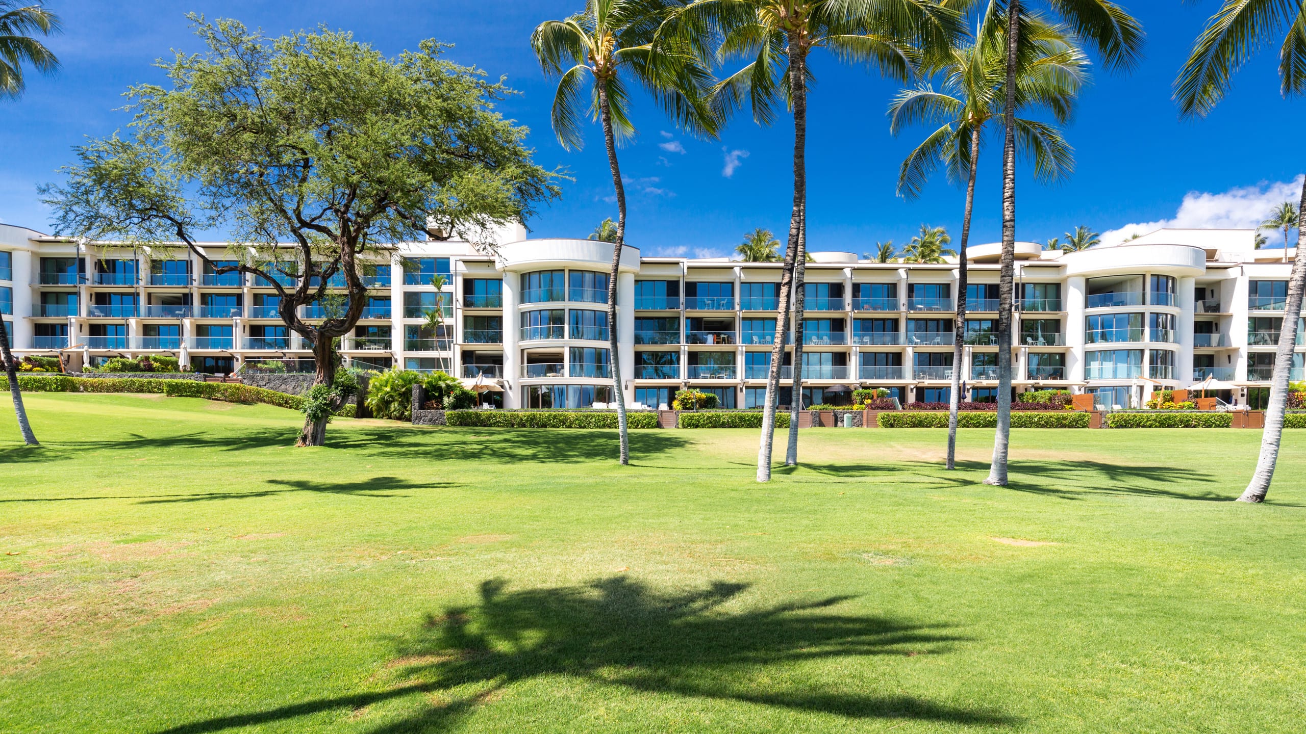 Condo in Waimea · ★5.0 · 2 bedrooms · 4 beds · 2 baths - Image 31