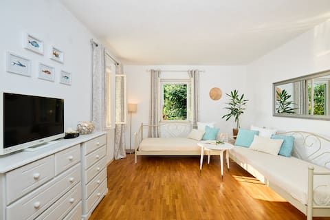 Top performing Airbnb: House Lilla in Brsečine