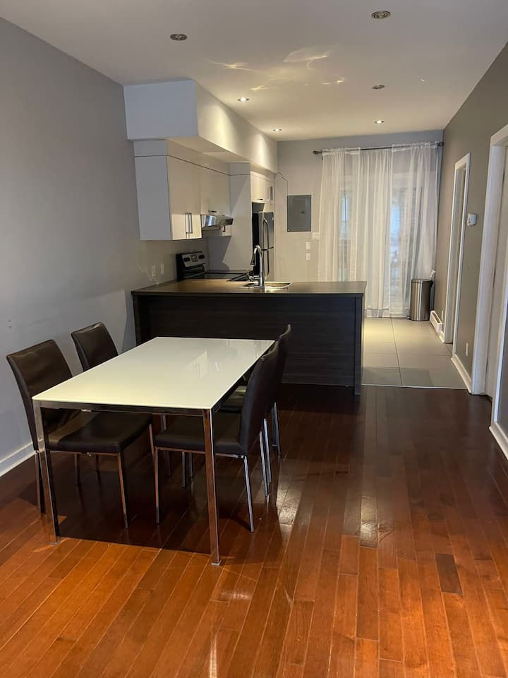 Modern apartment with large terrace Apartments for Rent in Montréal