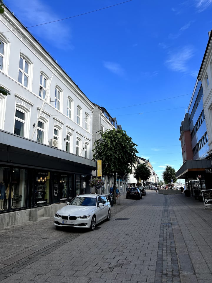 ARENDALSUKA! Big, cozy apartment in the middle of the pedestrian street