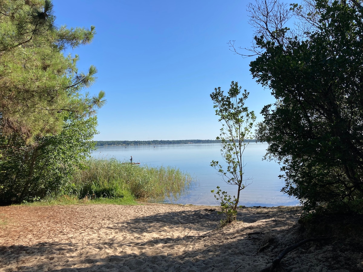 A sandy area opens up to a calm body of water, surrounded by lush greenery. Tall trees frame the scene, providing a natural pathway to the lake. The clear blue sky reflects off the water, creating a serene atmosphere.
