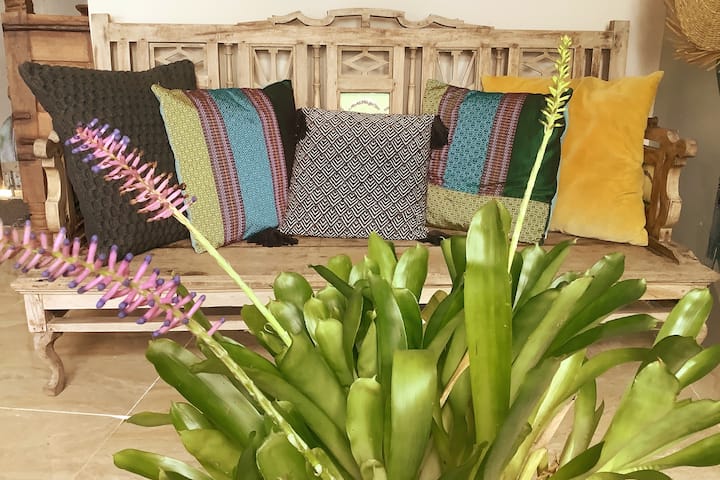 Სან-ფრანცისკოს სალონი