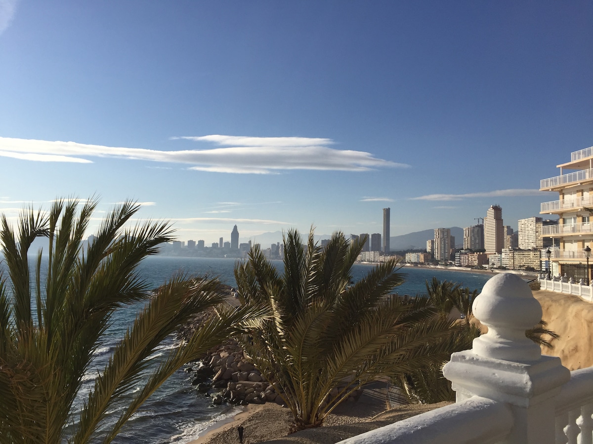 A view of a coastline is presented, featuring a calm sea bordered by palm trees. The distant skyline showcases modern buildings against a clear blue sky, enhancing the sense of tranquility and connection to the outdoor environment.