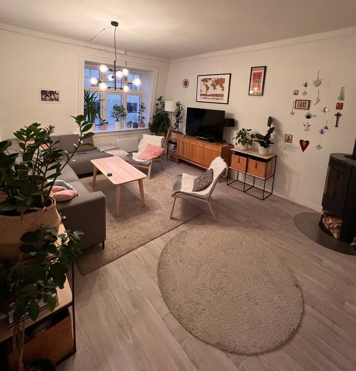 Sentral toroms leilighet Flats for Rent in Bydel Sagene, Oslo, Norway