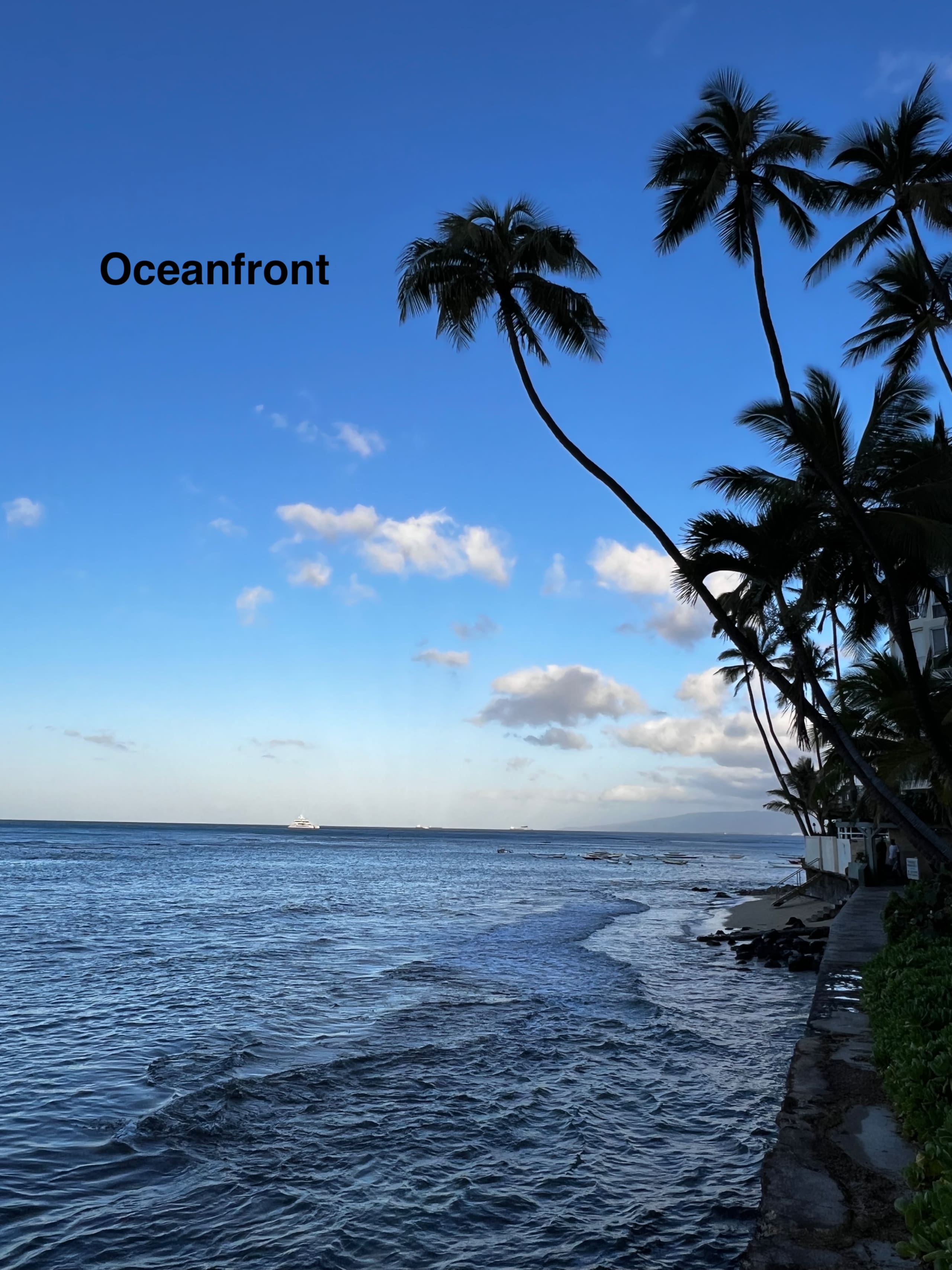 Condo in Honolulu · ★4.8 · Studio · 1 bed · 1 private bath - Image 38