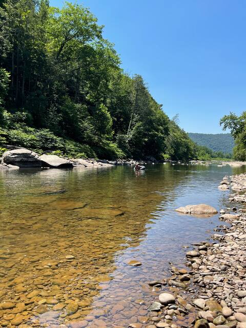 Creekside cabin on the Loyalsock Creek
