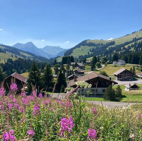 Chalet Bel-Oiseau pour groupes, billard pétanque. gallery image 5