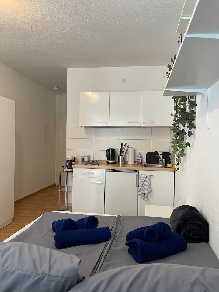 Central Apartment With Balcony 109 - Trier
