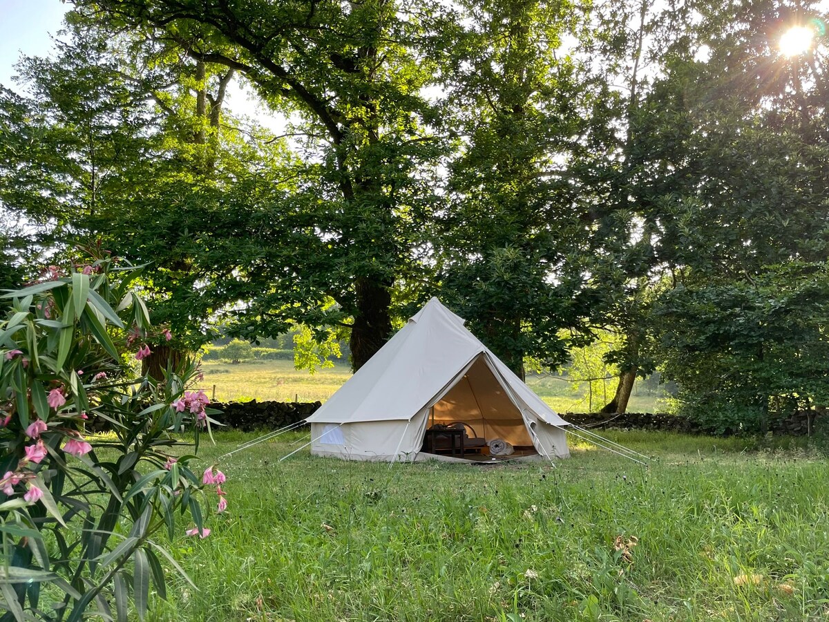 A spacious tent is set on a grassy area, surrounded by trees and blooming flowers. Sunlight filters through the leaves, creating a serene atmosphere. The entrance of the tent is open, revealing a cozy interior that invites relaxation amid nature.
