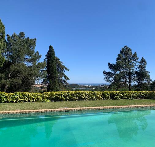 To live happily live outside surrounded by nature gallery image 3