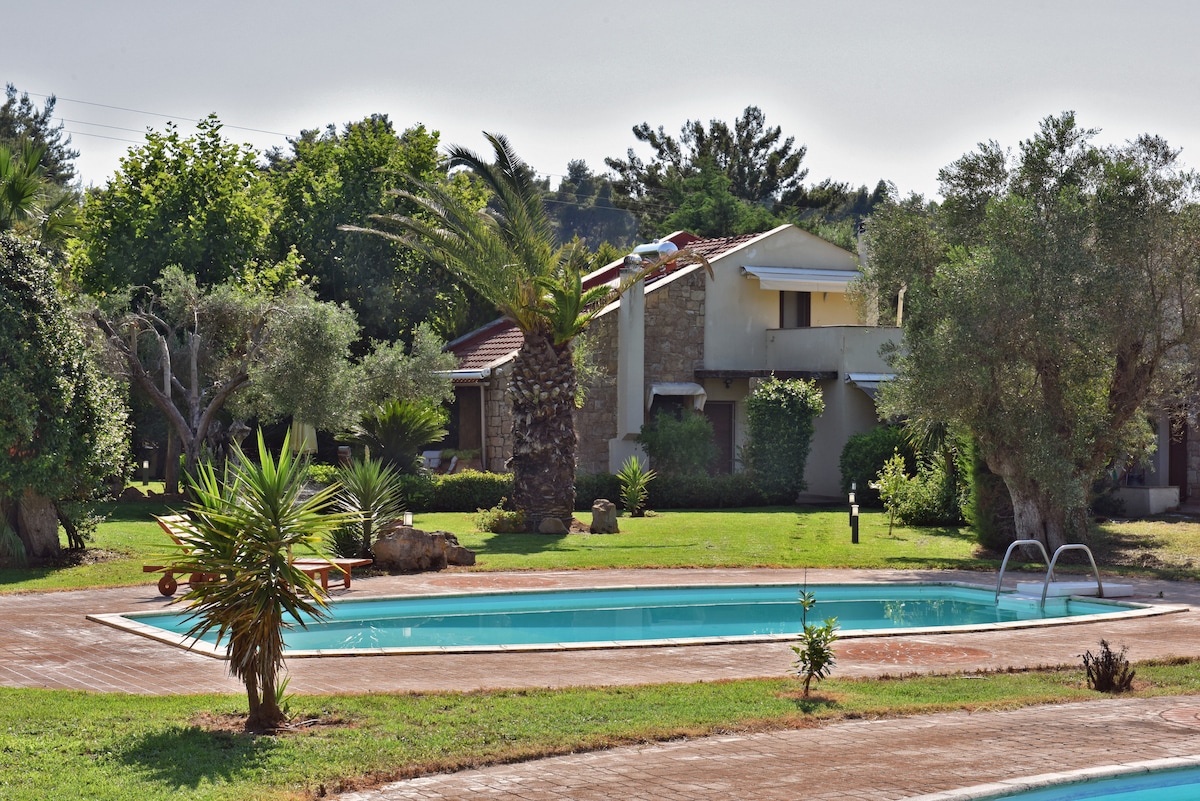 A serene garden view showcases a well-maintained swimming pool surrounded by lush greenery and mature palm trees. The villa, featuring a light-colored exterior, stands in the background, harmonizing with the tranquil landscape.