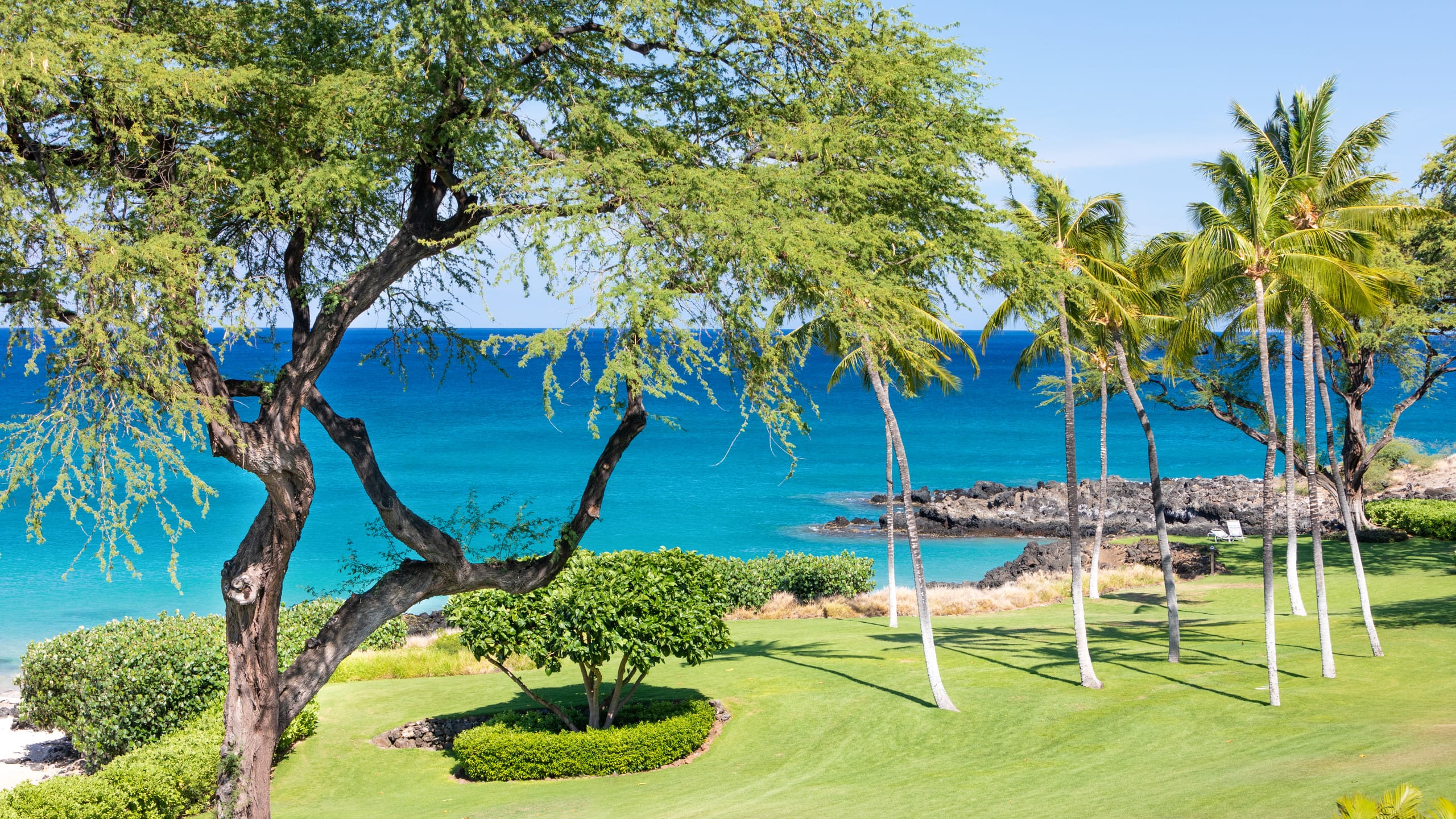 Condo in Waimea · ★4.88 · 3 bedrooms · 6 beds · 2 baths - Image 33