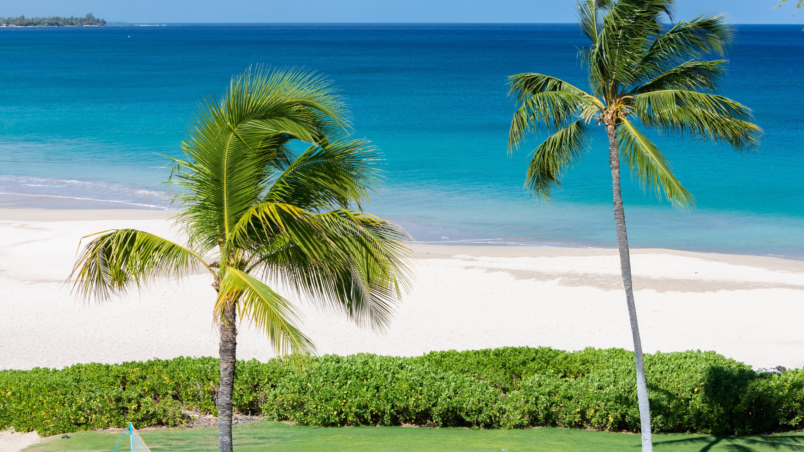 Condo in Waimea · ★4.88 · 3 bedrooms · 6 beds · 2 baths - Image 44