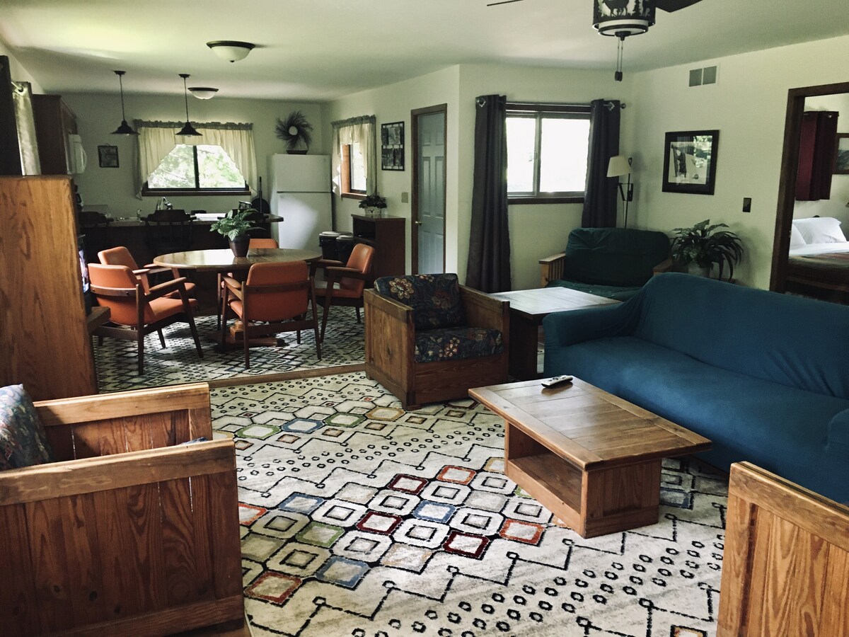 An open living space features comfortable seating arrangements, including a blue couch and patterned armchairs. A wooden coffee table sits centrally on an intricately designed rug. Nearby, a dining area with orange chairs and a wooden table is visible, with natural light illuminating the room from the windows.