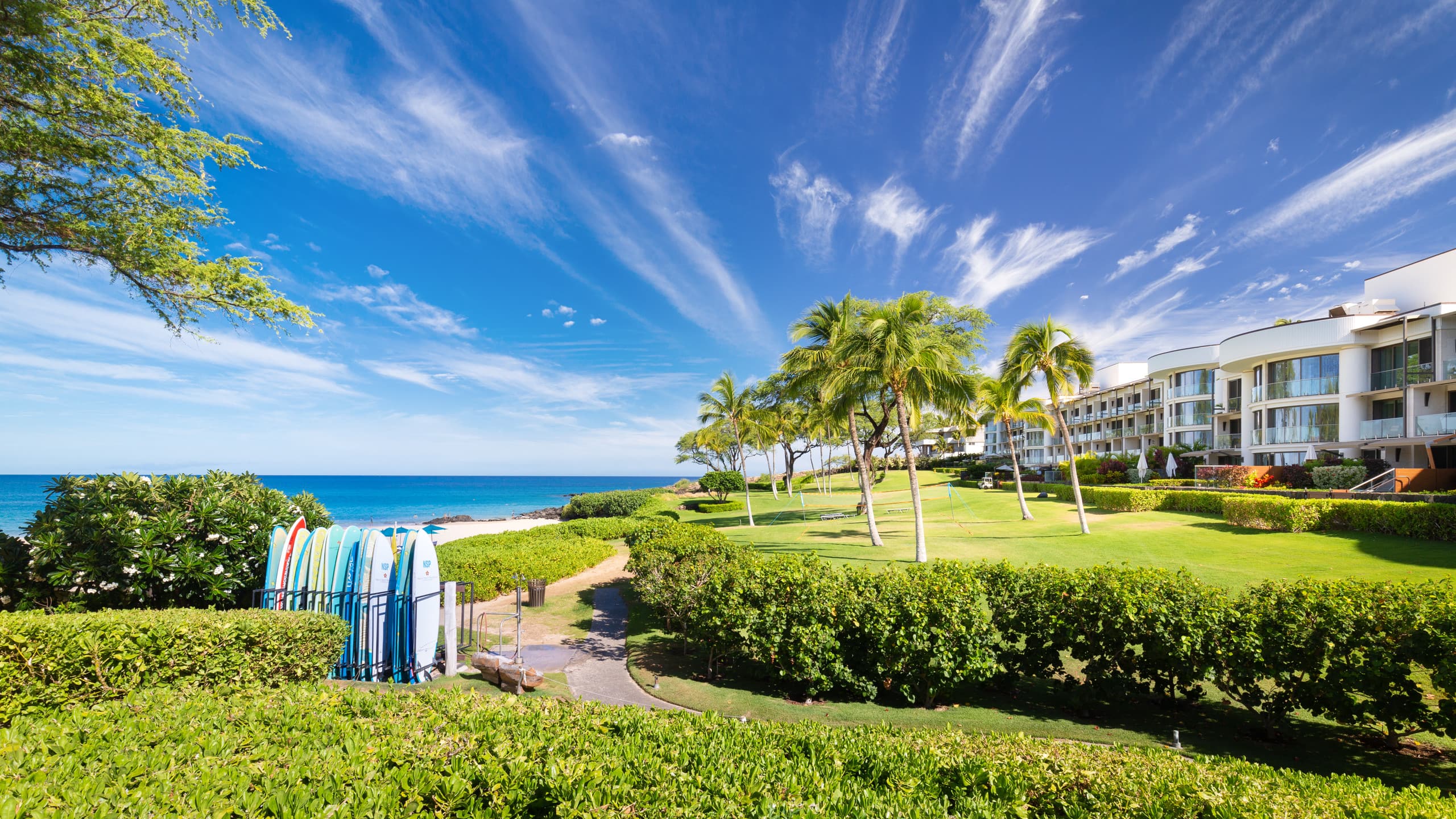 Condo in Waimea · ★4.93 · 2 bedrooms · 3 beds · 2 baths - Image 37