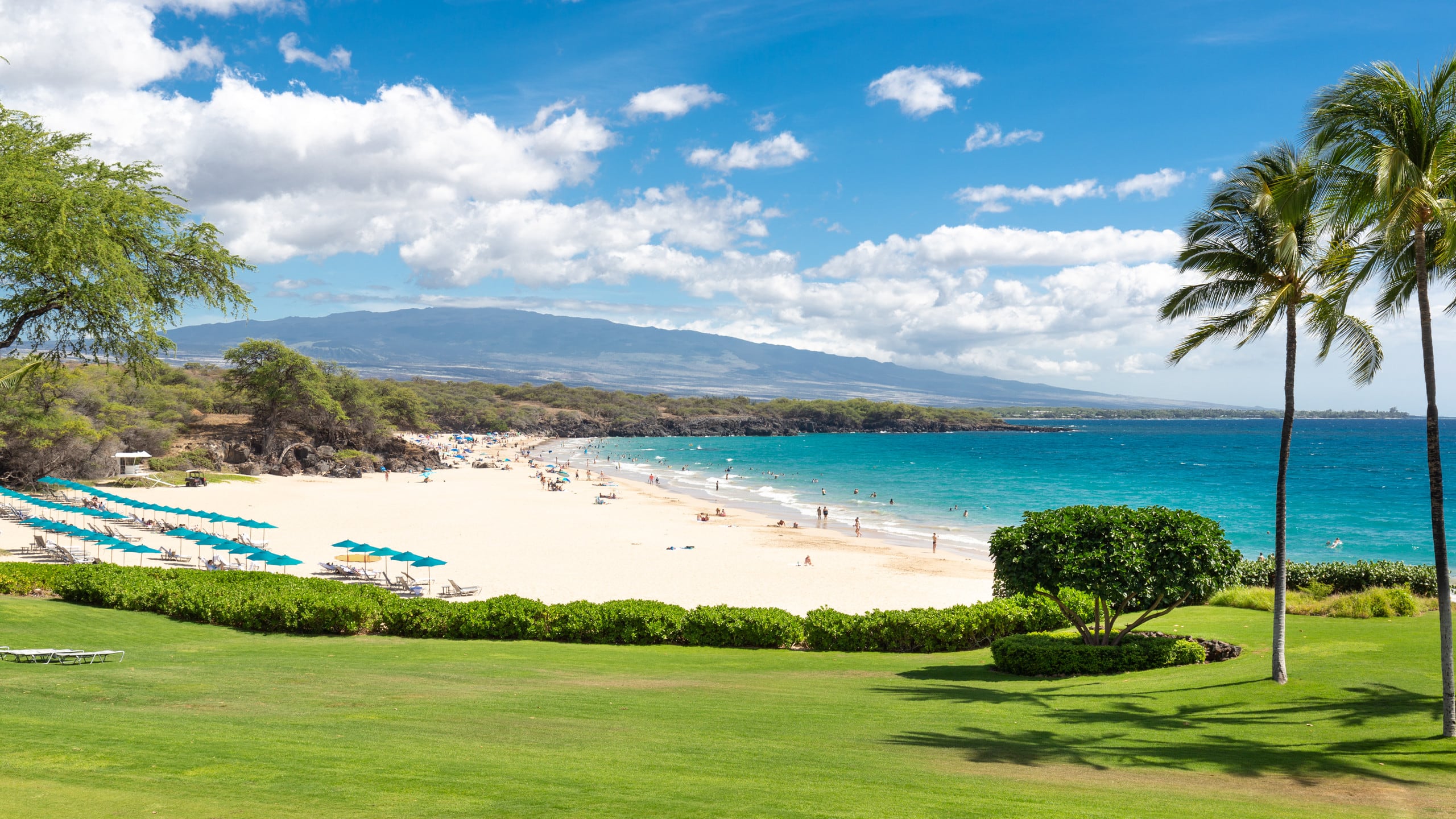 Condo in Waimea · ★4.93 · 2 bedrooms · 3 beds · 2 baths - Image 31