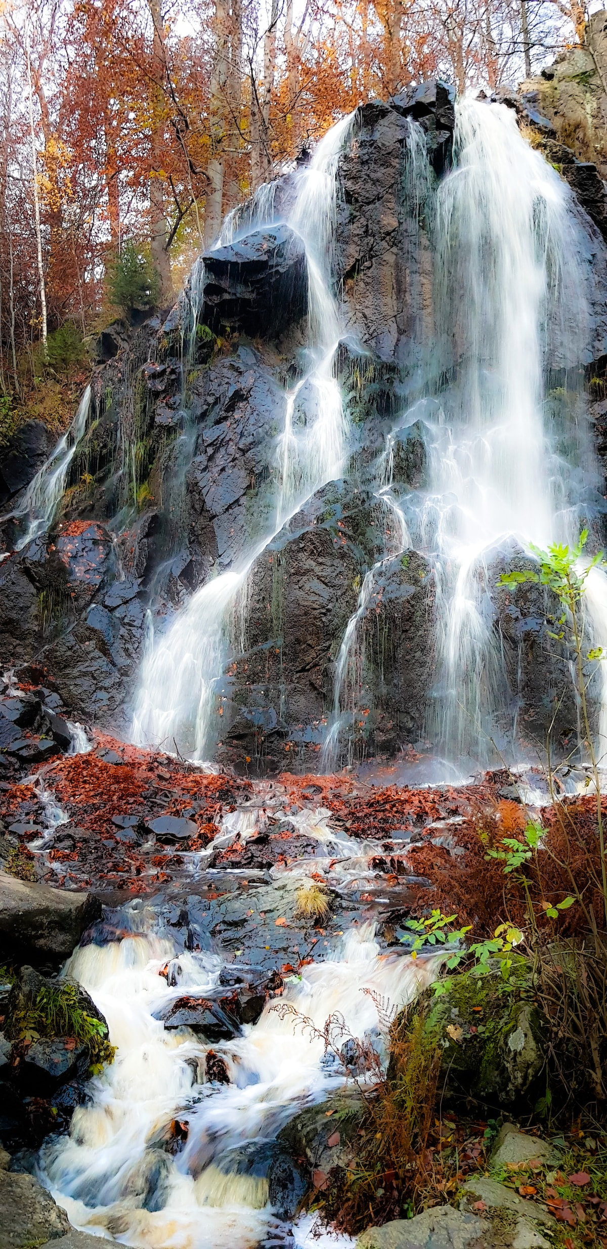 A natural waterfall cascades down a rocky face, with water flowing serenely over uneven surfaces. Surrounding foliage in autumnal hues frames the scene, while fallen leaves and rocks line the base where water collects, creating a tranquil atmosphere.