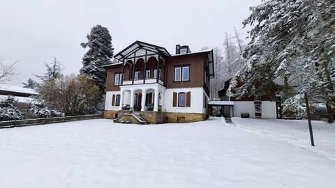 Erfolgreiche Airbnb-Immobilie: Villa Silberborn Apartment 9 The dream for 2 in Bad Harzburg