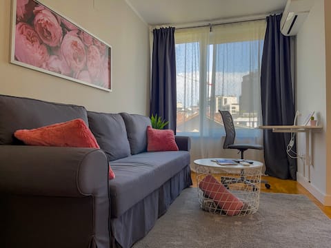 Successful Airbnb property: 1BR/1BA Condo WFH Ready/Comfy bed/Next to Subway in София