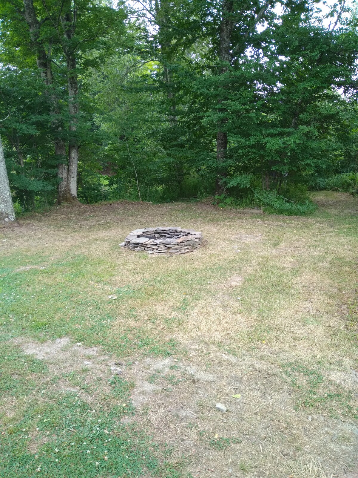 A circular stone fire pit is surrounded by a natural clearing, bordered by tall trees and lush greenery. The ground is covered with a mix of grass and earth, creating a rustic setting suitable for gathering.