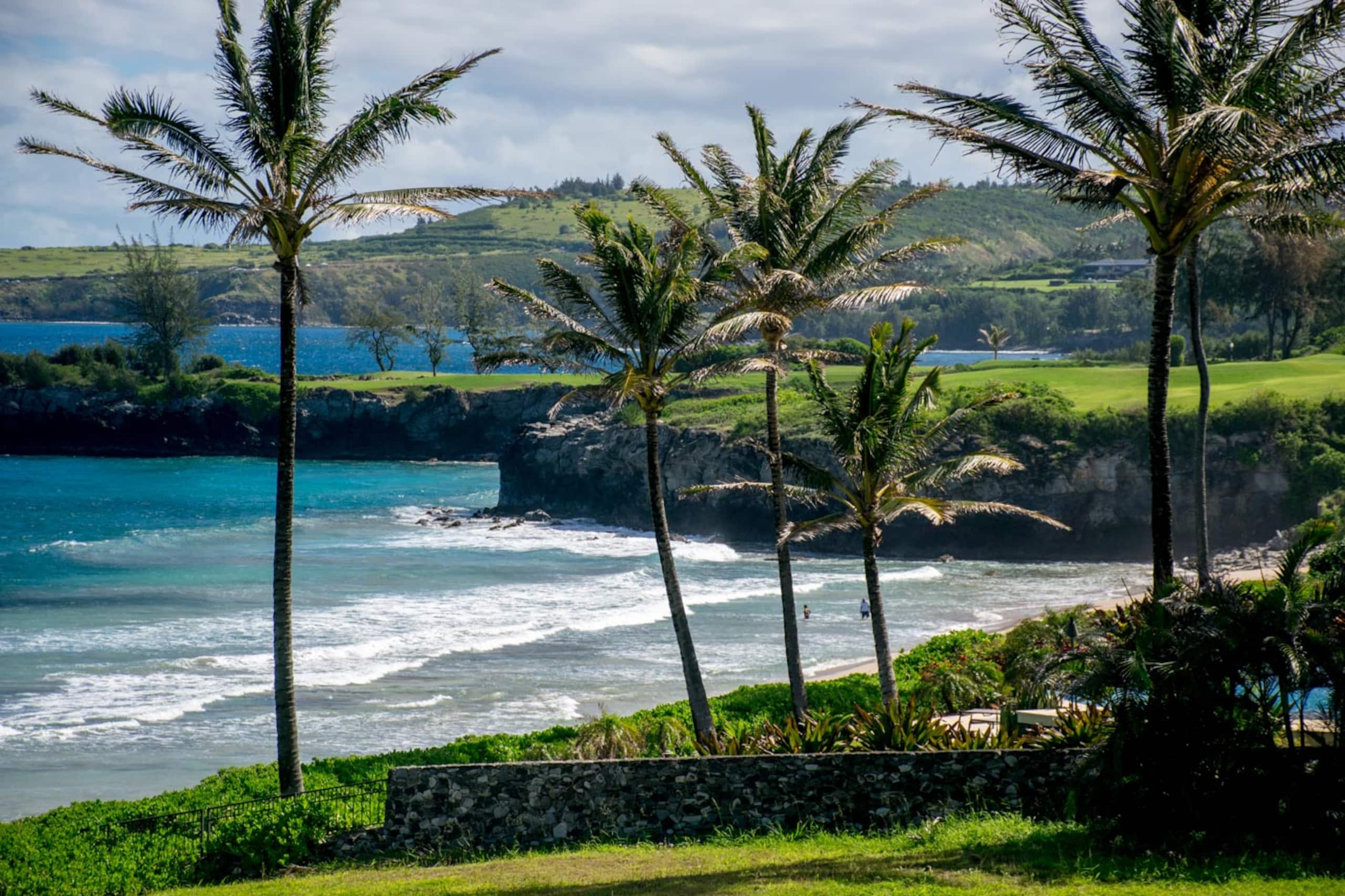 Kapalua Bay Villas 19G2 Gold Oceanfront 2BD/3BA - Image 37