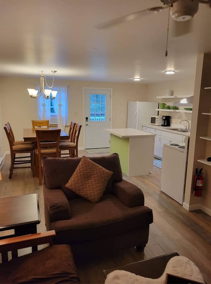 A Lovely & Cozy Beautiful 1 Bedroom Apartment - Bear Lake, MI