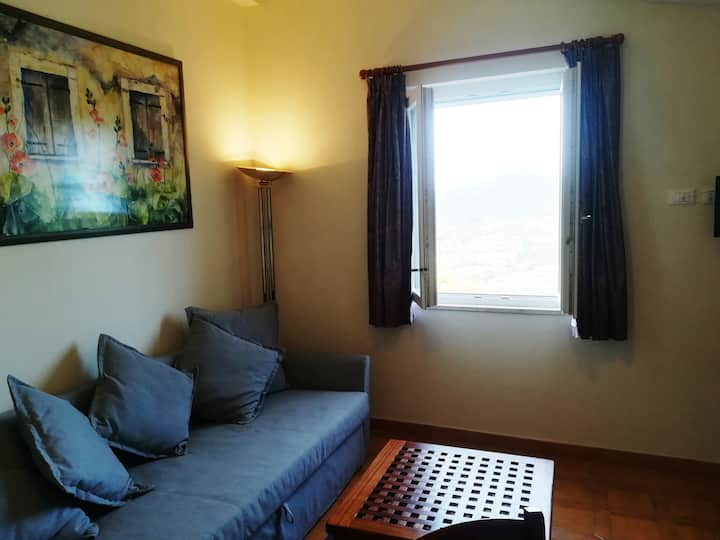 Მყუდრო გარემო მისაღები ოთახით, რომელშიც დგას ორადგილიანი გასაშლელი დივანი, ტელევიზორი და DVD, შესანიშნავი ხედები და აივანი მაგიდითა და სკამებით