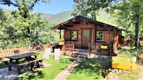 Sanabria wooden cabin for 4 in nature