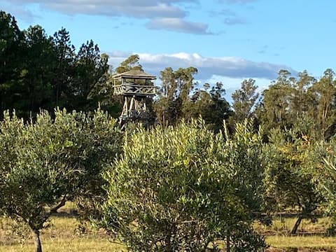 Piedra De Agua Chacra, house, pool, forest, river.