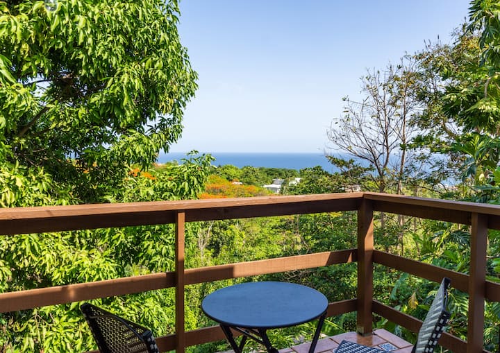 Lush Valley ♡ Ocean View Eco Retreat Houses for Rent in Puntas