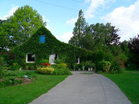 House in the heart of the marsh