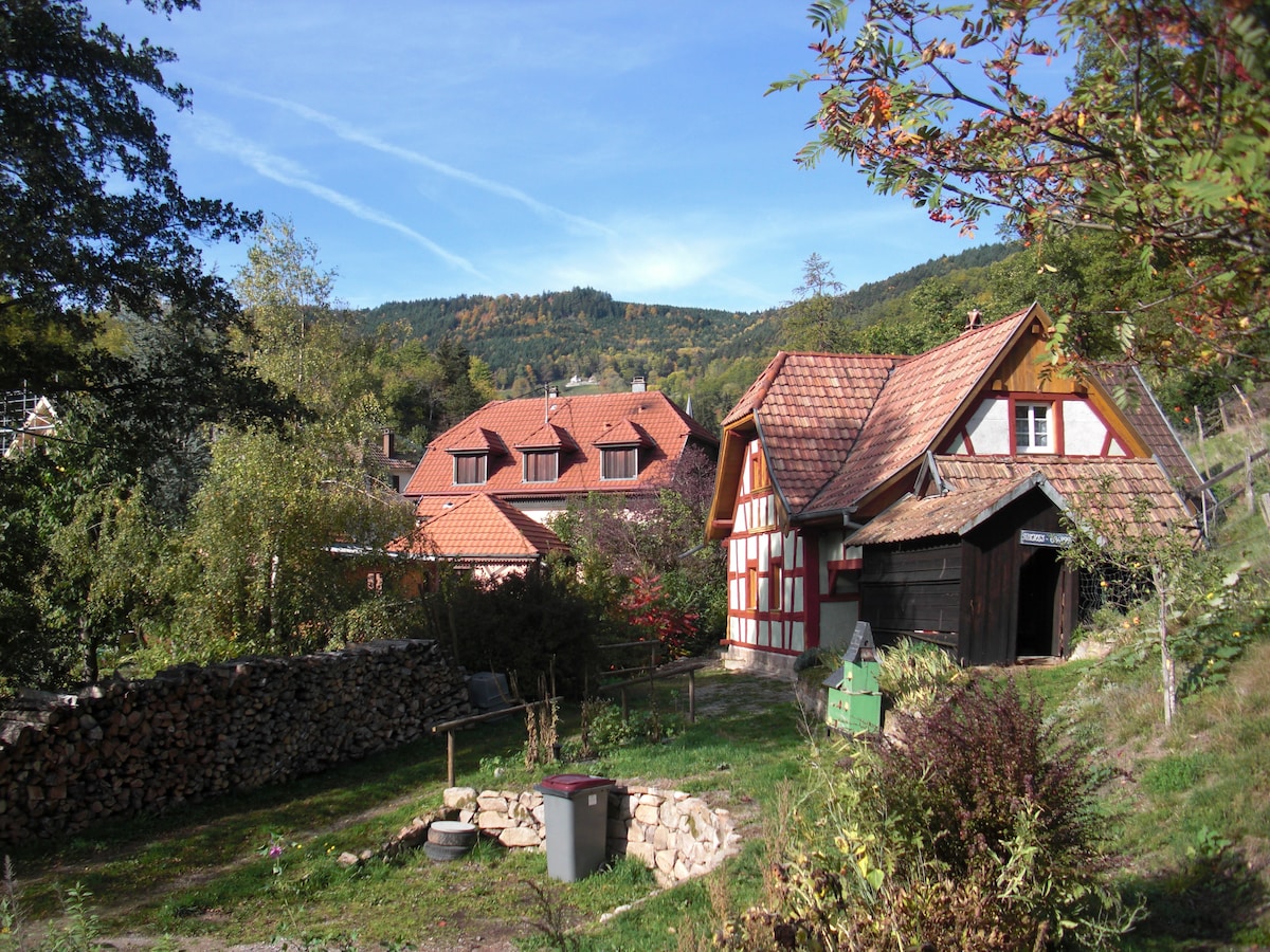 A traditional house with a tiled roof is set amidst lush greenery and trees, surrounded by rolling hills. A neatly stacked pile of firewood is visible, along with a circular stone fire pit and a small garden area, creating a serene outdoor atmosphere.