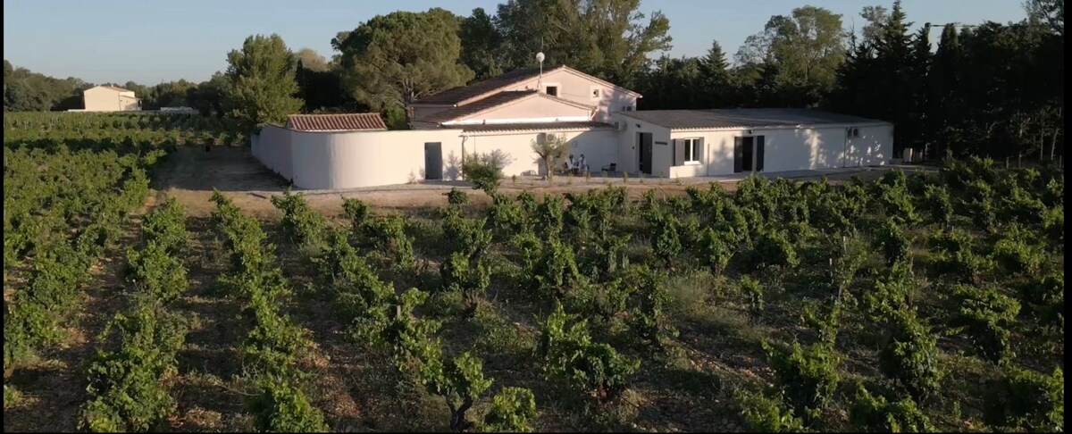 The residence is nestled among lush vineyards, surrounded by greenery and trees. The building features a blend of modern and traditional architecture, with light-colored walls and a tiled roof, enhancing the tranquil vineyard setting.