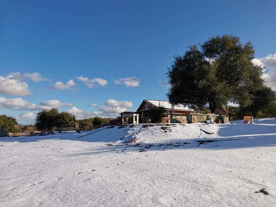 A charming cabin is set against a backdrop of a bright blue sky and scattered clouds. A blanket of snow covers the ground, with signs of footsteps leading through the white landscape. Large trees provide shade near the cabin's entrance, enhancing the tranquil outdoor setting.