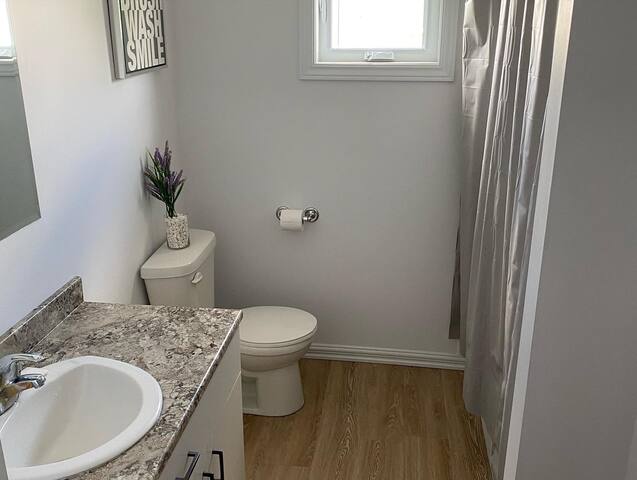 Large & updated 6 bedroom home in prime location! gallery image 4