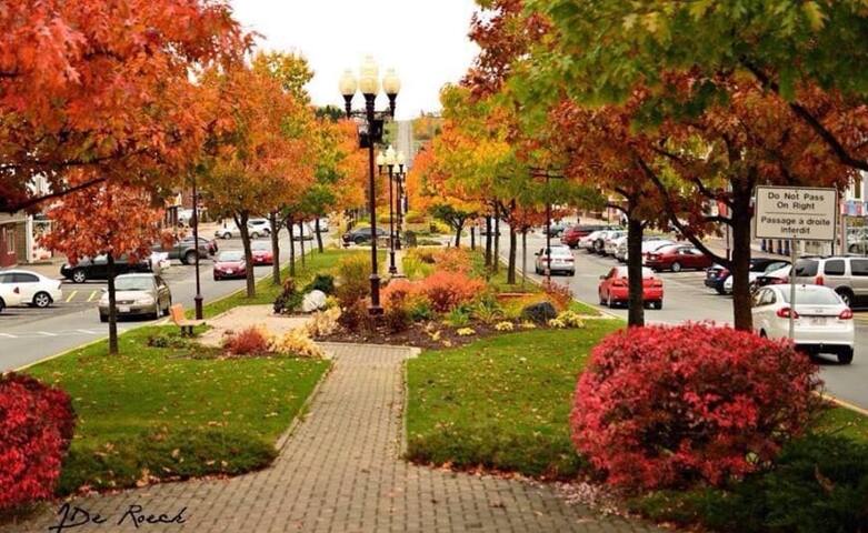 Large & updated 6 bedroom home in prime location! gallery image 5