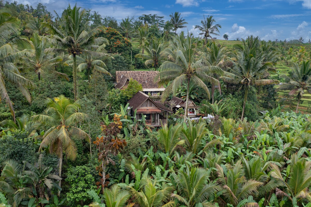 An expansive villa is surrounded by lush greenery, featuring tall palm trees and dense foliage. The natural landscape offers a serene and secluded atmosphere, highlighting the traditional Balinese architectural style of the villa amidst the vibrant tropical surroundings.