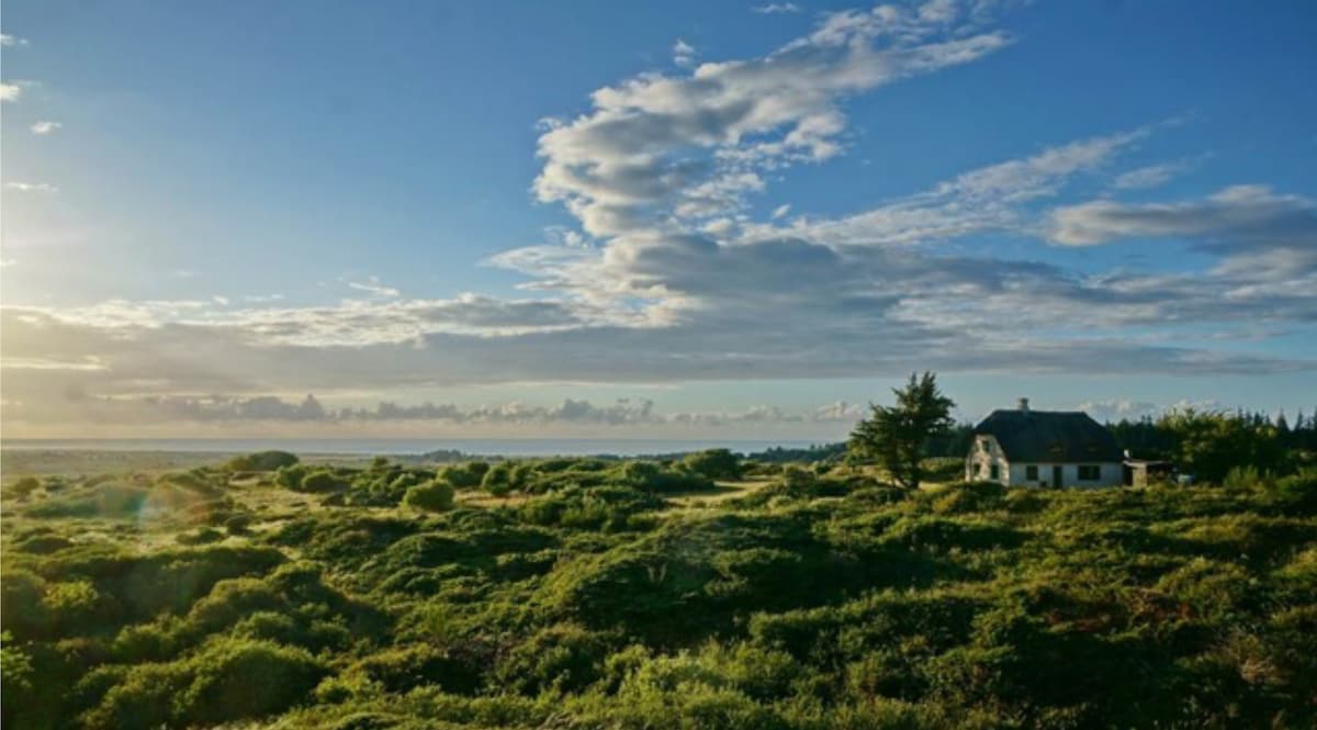 A serene landscape presents a summer house nestled among lush greenery, framed by a vibrant sky. Rolling hills and coastal views are visible, with soft clouds reflecting the natural light, creating a peaceful outdoor environment.