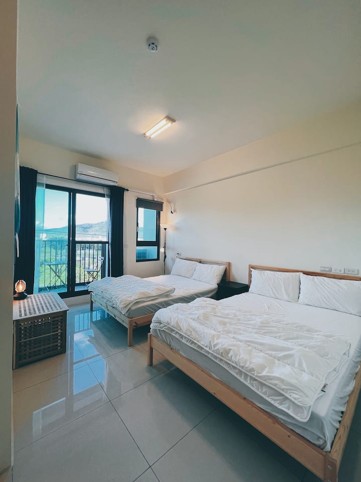 Travel Cat Apartment Four Cat Room Sleeps 2 4 Clean and Simple