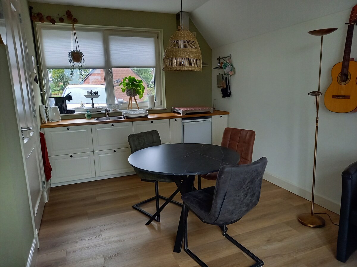 A modern kitchen area features a round black table surrounded by three chairs, two in dark tones and one in a warm brown. Natural light enters through the window above the sink, with plants accentuating the space. A guitar hangs on the wall nearby.